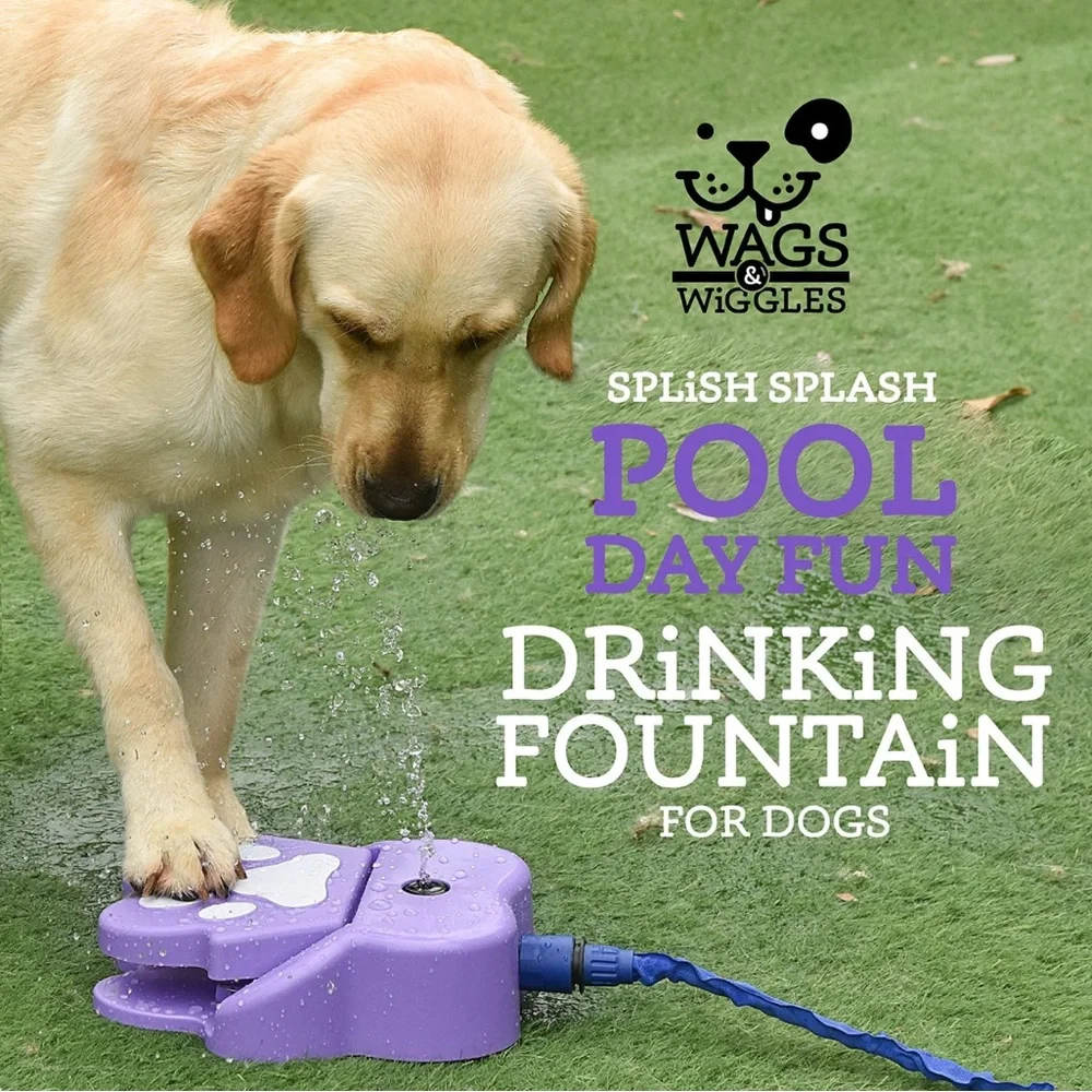 New 12” Drinking Fountain for Dogs Wags & Wiggles